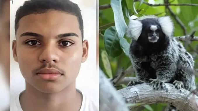 ADOLESCENTE MORRE APÓS PEGAR RAIVA HUMANA EM MORDIDA DE SAGUÍ