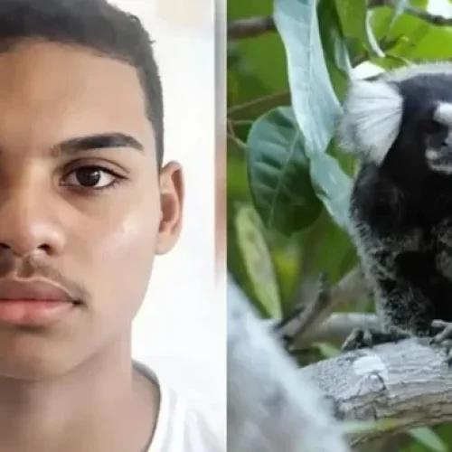 ADOLESCENTE MORRE APÓS PEGAR RAIVA HUMANA EM MORDIDA DE SAGUÍ