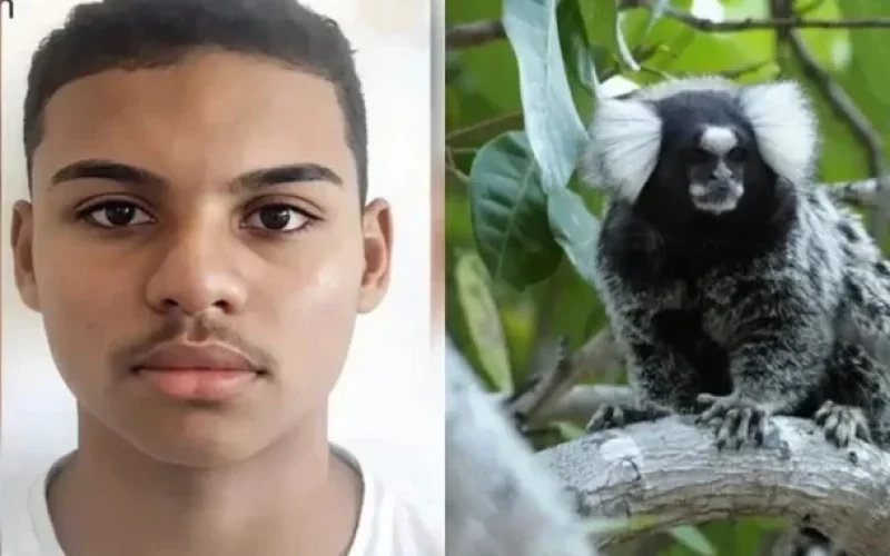 ADOLESCENTE MORRE APÓS PEGAR RAIVA HUMANA EM MORDIDA DE SAGUÍ