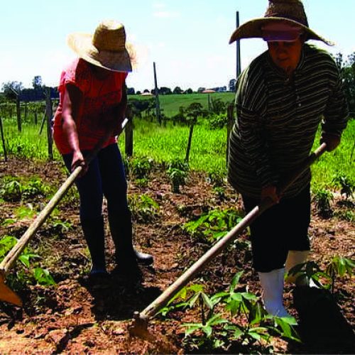 Roberta Roma deu grande apoio para aprovação de projeto de lei que ampara a Mulher Rural.