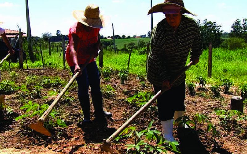 Roberta Roma deu grande apoio para aprovação de projeto de lei que ampara a Mulher Rural.