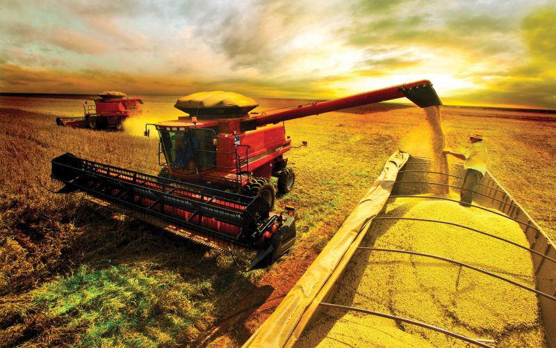 O Triunfo do Campo: Brasil Alimenta o Mundo!
